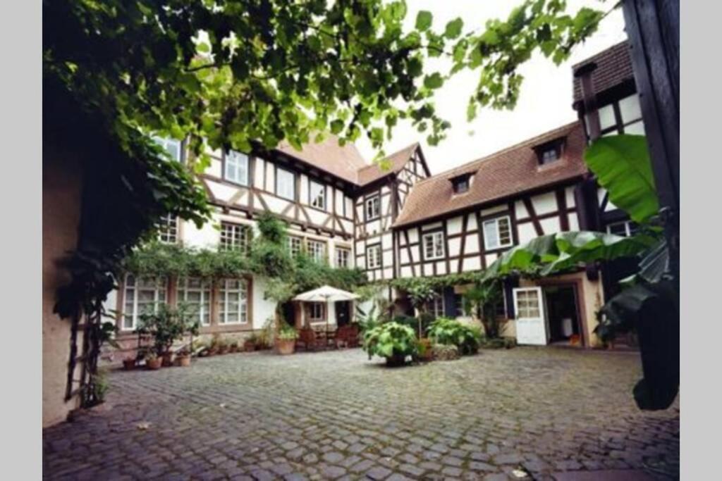 Historischer Adelshof Am Marktplatz, Atelier 70 M² Weinheim Exteriér fotografie